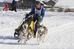 Lenk 2012 SM